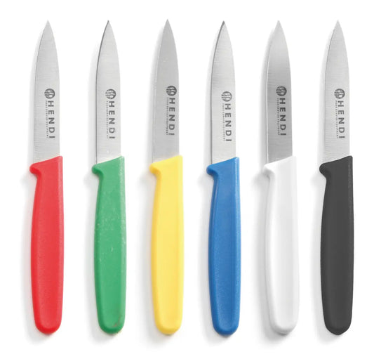 SET 6 COLTELLI SPELUCCHINI