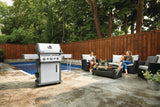 Rogue® SE 425 RSIB