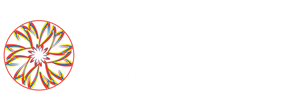 MG Cucine Industriali SA
